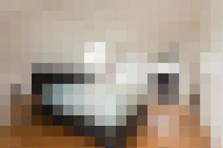 Kleine Buren 24 Pingjum thumbnail 27