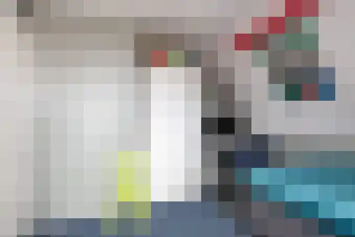 Kleine Buren 24 Pingjum thumbnail 31
