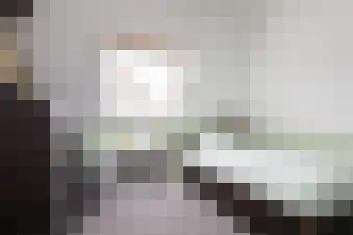 Kleine Buren 24 Pingjum thumbnail 32