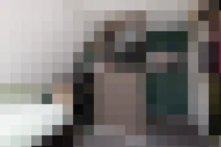 Kleine Buren 24 Pingjum thumbnail 33