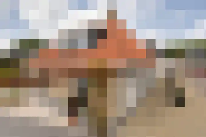 Kleine Buren 24 Pingjum thumbnail 38