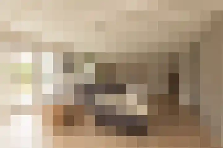 Kleine Buren 24 Pingjum thumbnail 4