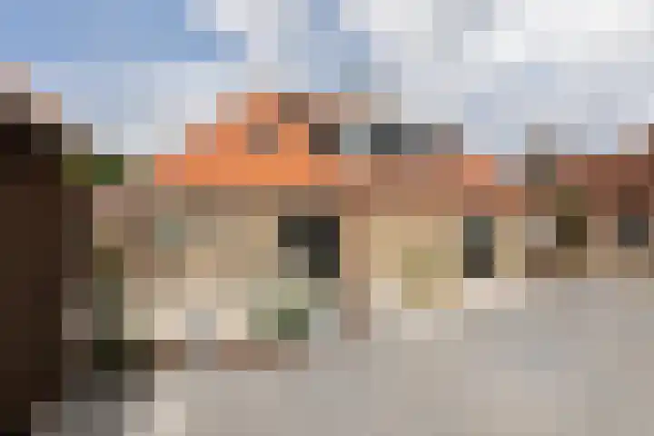 Kleine Buren 24 Pingjum thumbnail 40