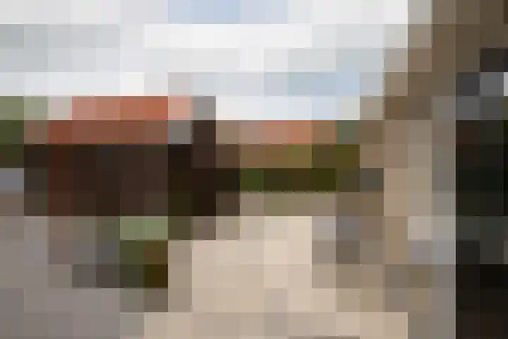 Kleine Buren 24 Pingjum thumbnail 41