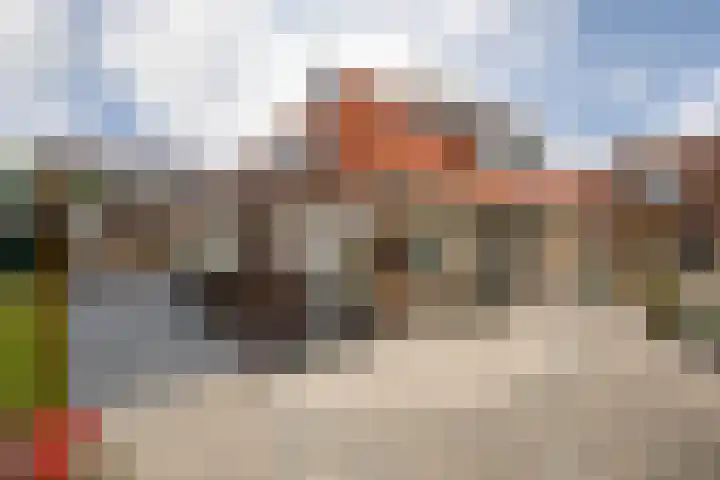 Kleine Buren 24 Pingjum thumbnail 42
