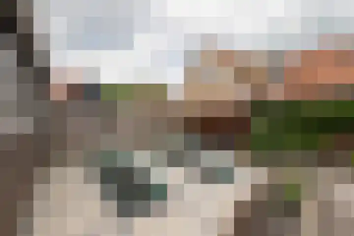 Kleine Buren 24 Pingjum thumbnail 43