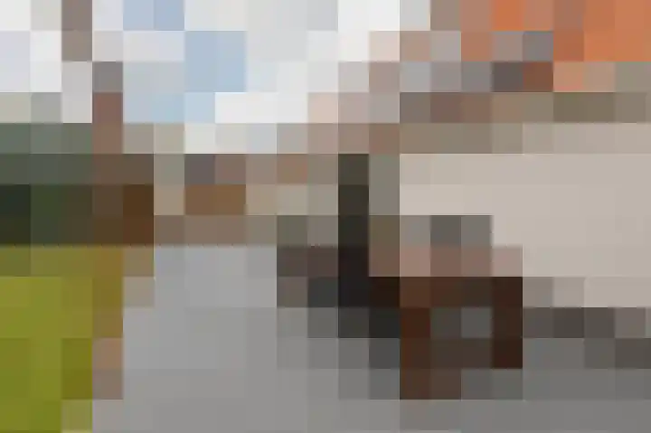 Kleine Buren 24 Pingjum thumbnail 44