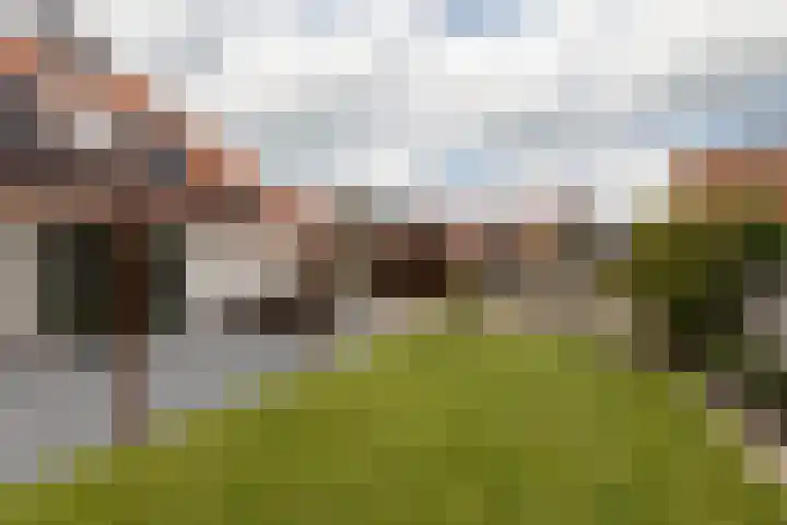 Kleine Buren 24 Pingjum thumbnail 46