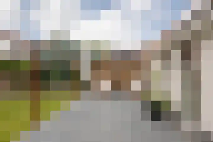 Kleine Buren 24 Pingjum thumbnail 47