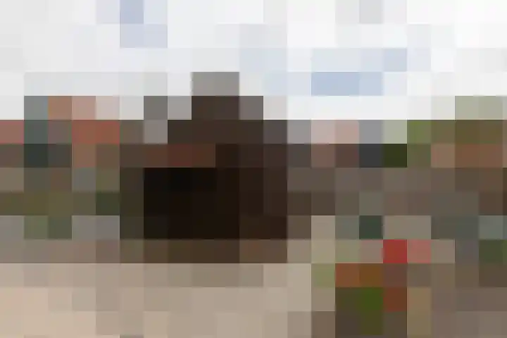 Kleine Buren 24 Pingjum thumbnail 48
