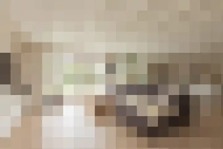 Kleine Buren 24 Pingjum thumbnail 5