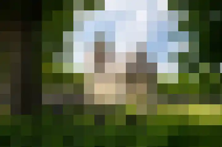 Kleine Buren 24 Pingjum thumbnail 52