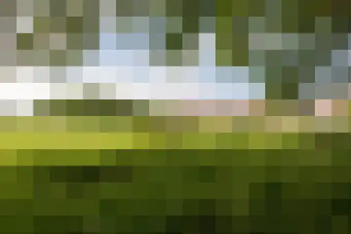 Kleine Buren 24 Pingjum thumbnail 53