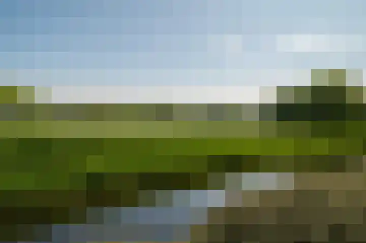 Kleine Buren 24 Pingjum thumbnail 54