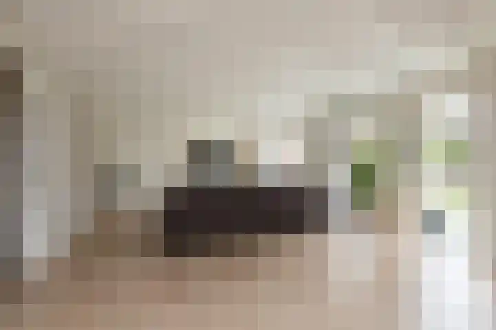 Kleine Buren 24 Pingjum thumbnail 6
