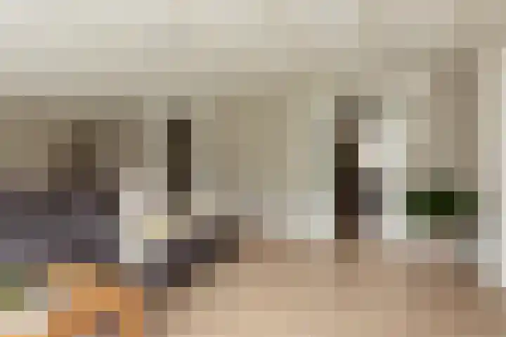 Kleine Buren 24 Pingjum thumbnail 8