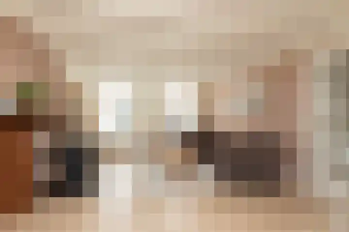 Kleine Buren 24 Pingjum thumbnail 9