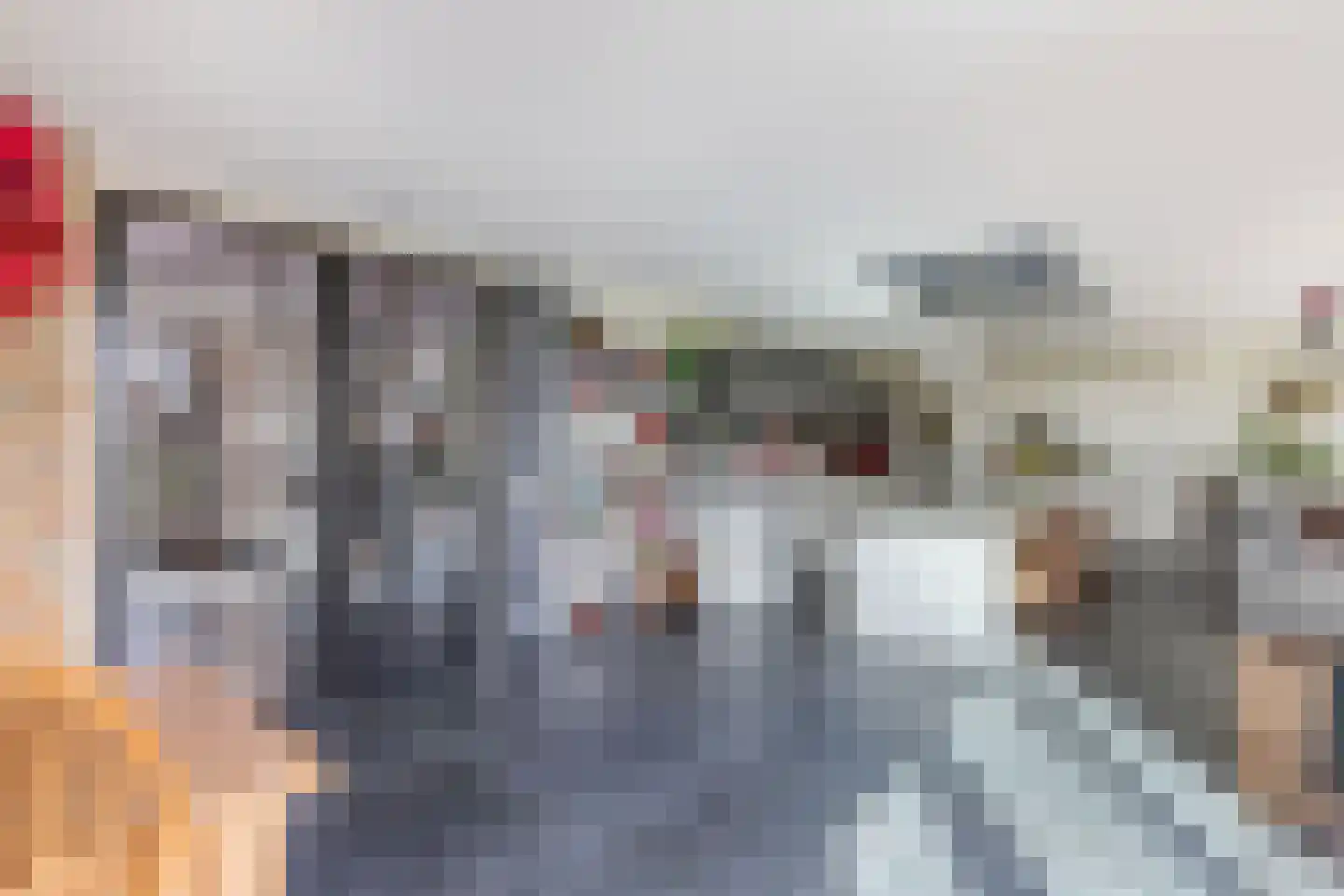 Kleine Buren 26 Pingjum thumbnail 11