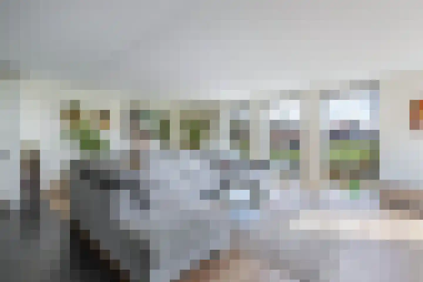 Kleine Buren 26 Pingjum thumbnail 13