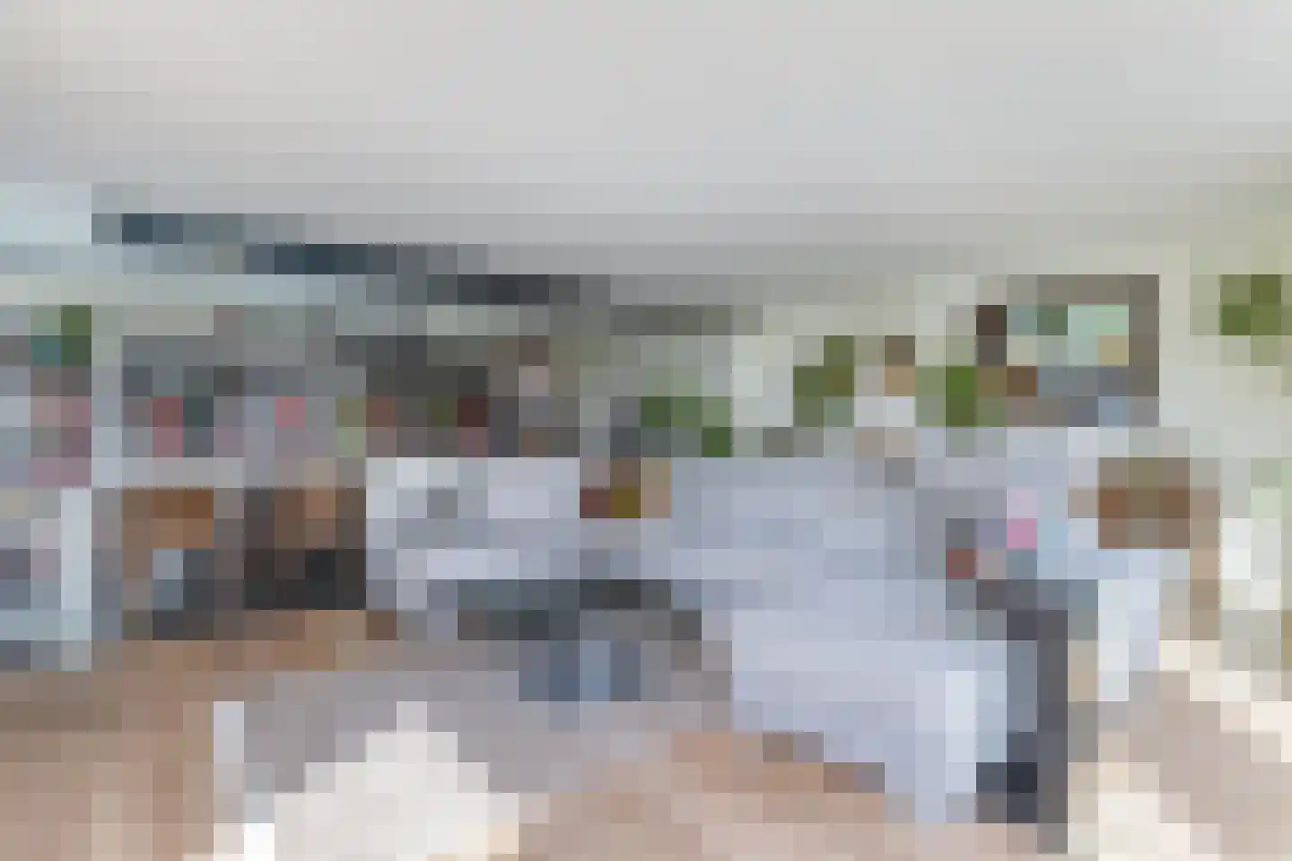 Kleine Buren 26 Pingjum thumbnail 14