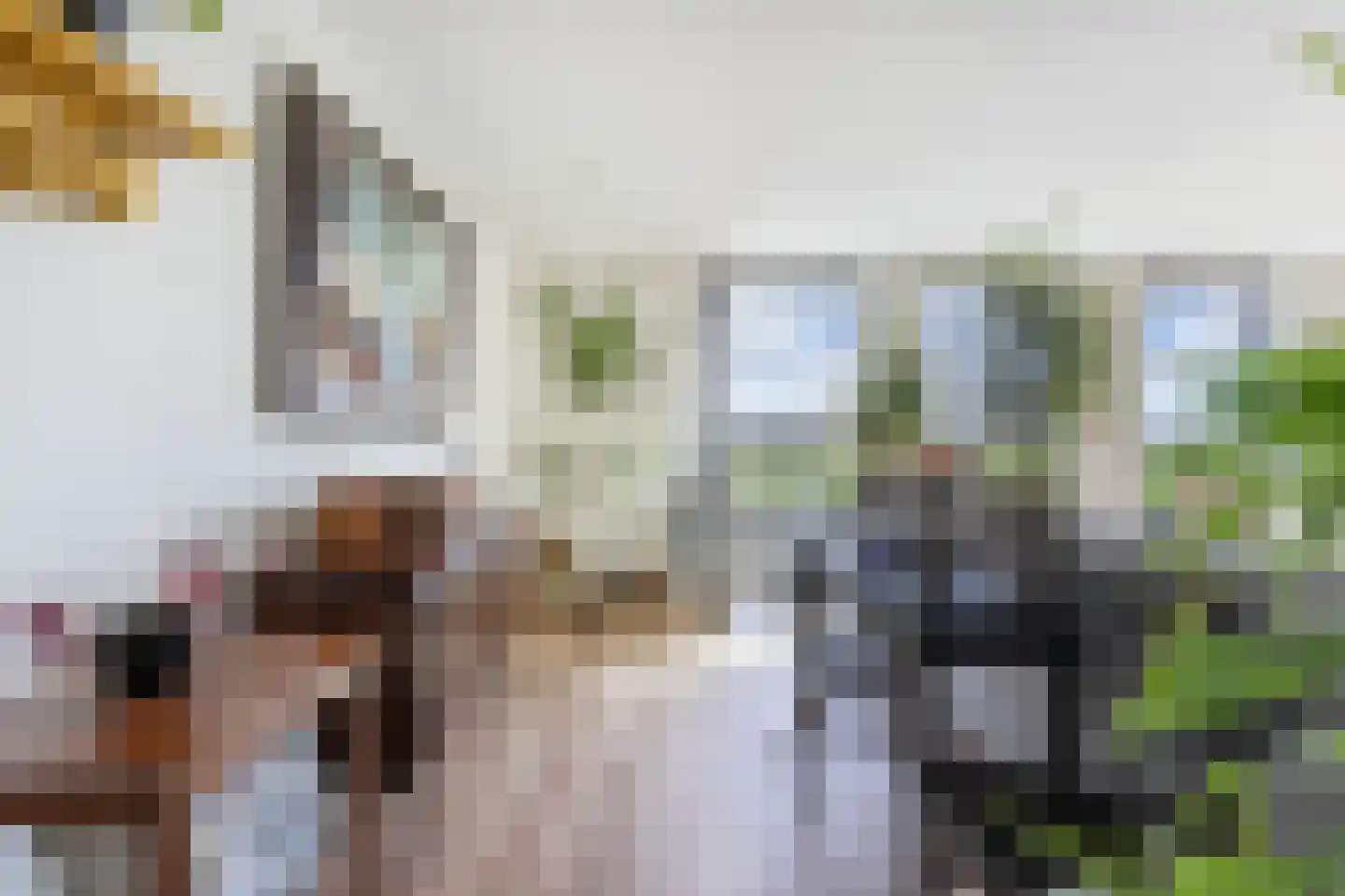 Kleine Buren 26 Pingjum thumbnail 16