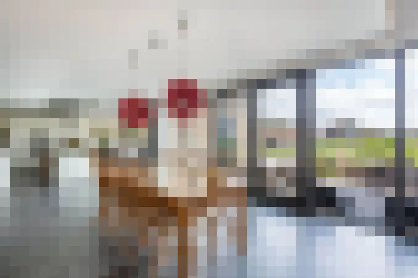 Kleine Buren 26 Pingjum thumbnail 20