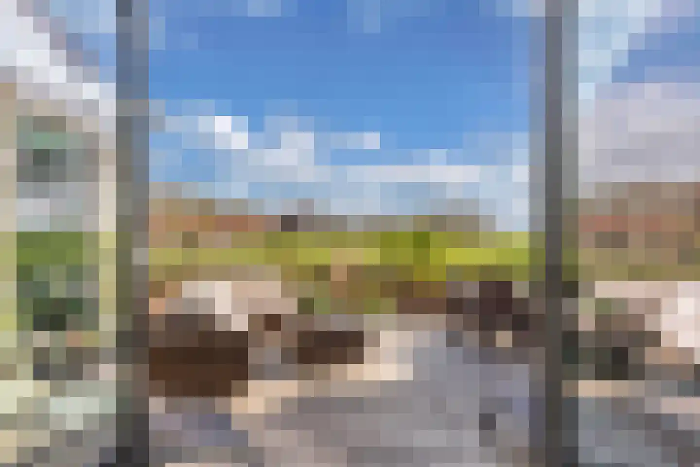 Kleine Buren 26 Pingjum thumbnail 21