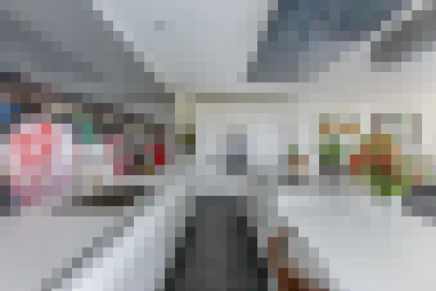 Kleine Buren 26 Pingjum thumbnail 22