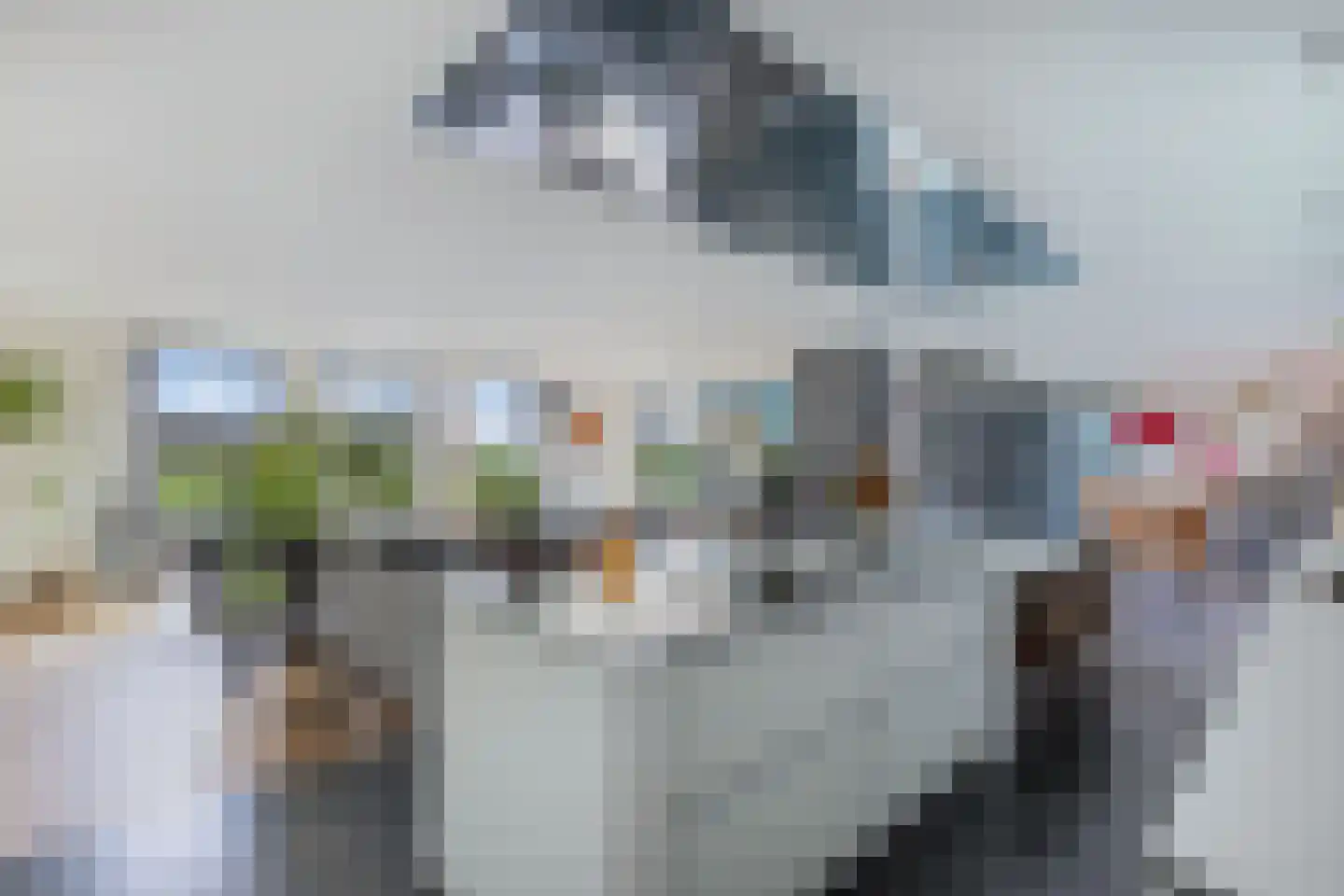 Kleine Buren 26 Pingjum thumbnail 23