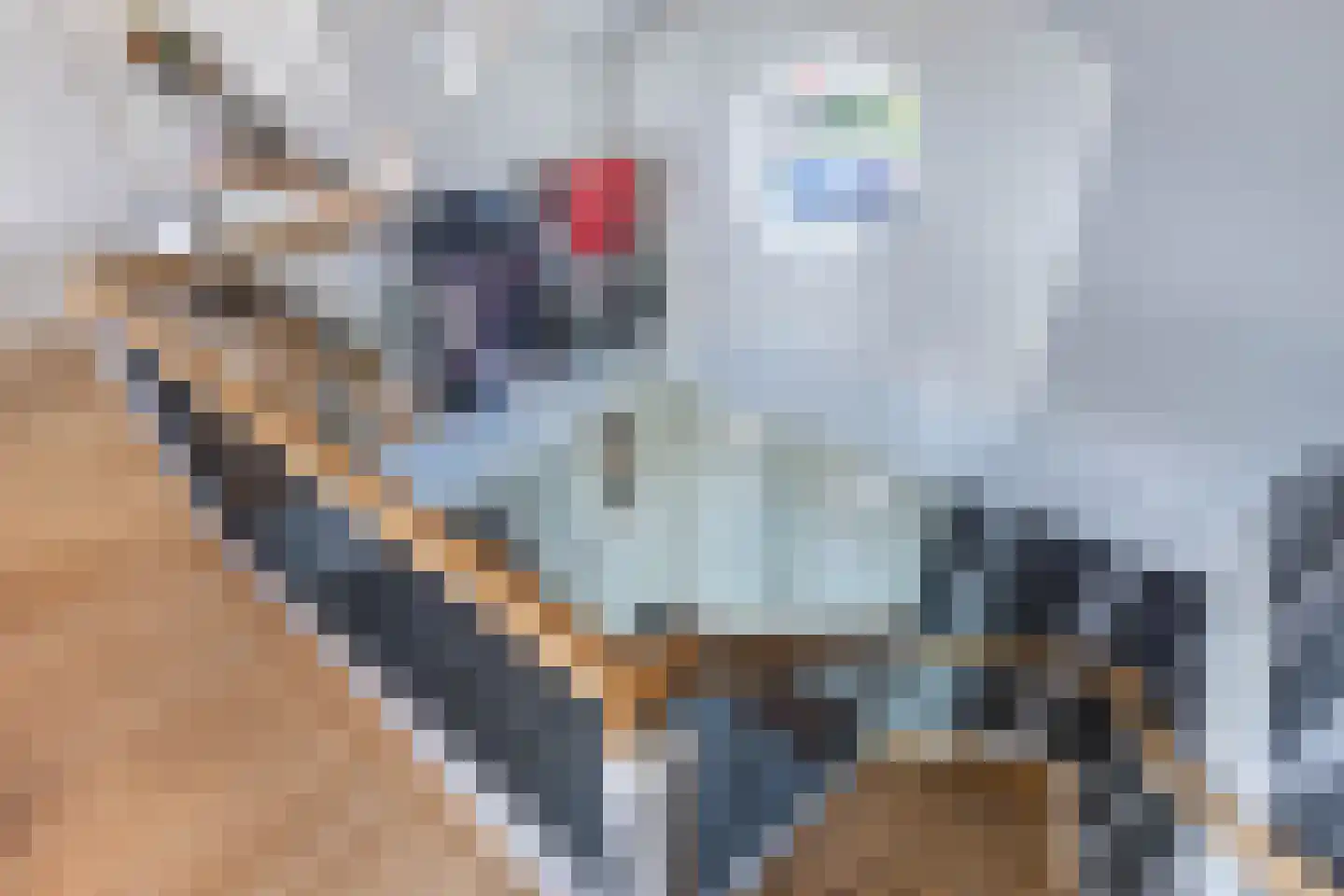 Kleine Buren 26 Pingjum thumbnail 30