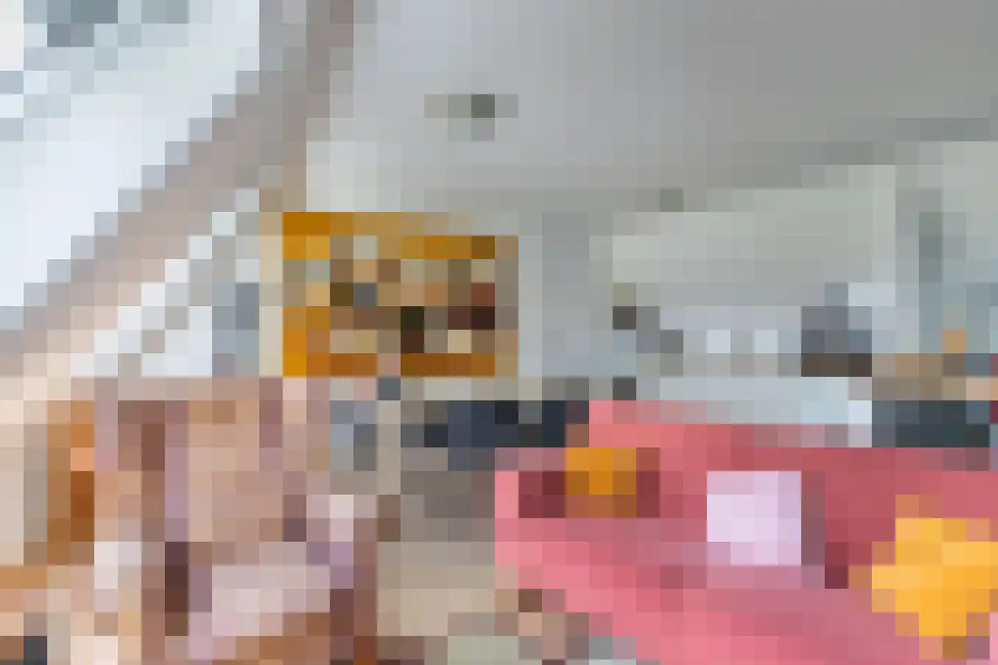 Kleine Buren 26 Pingjum thumbnail 32