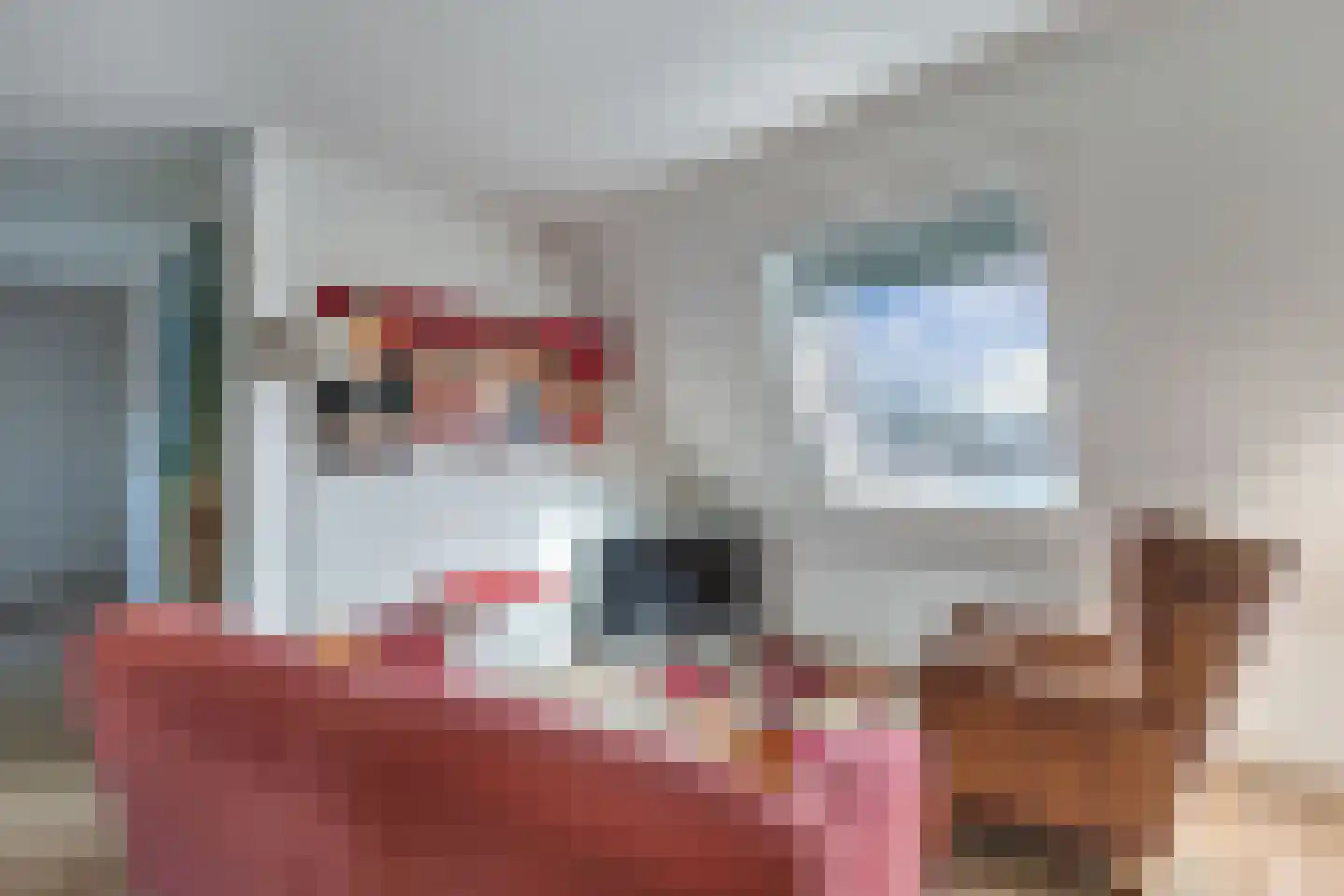 Kleine Buren 26 Pingjum thumbnail 33