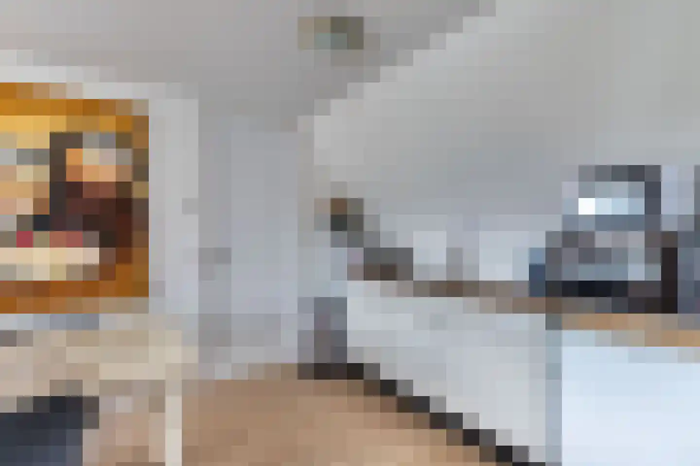 Kleine Buren 26 Pingjum thumbnail 34