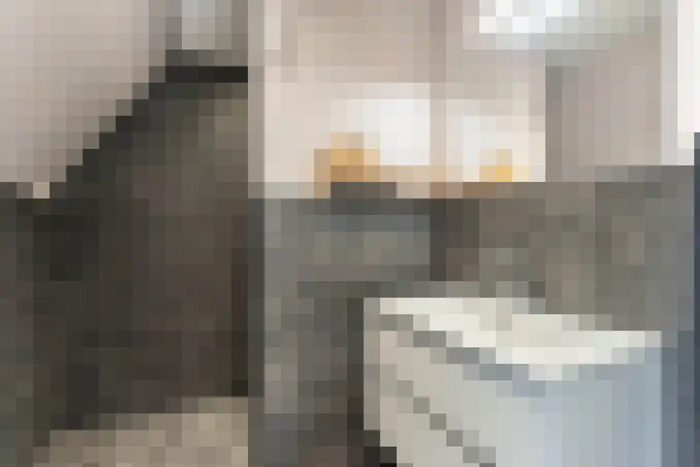 Kleine Buren 26 Pingjum thumbnail 38
