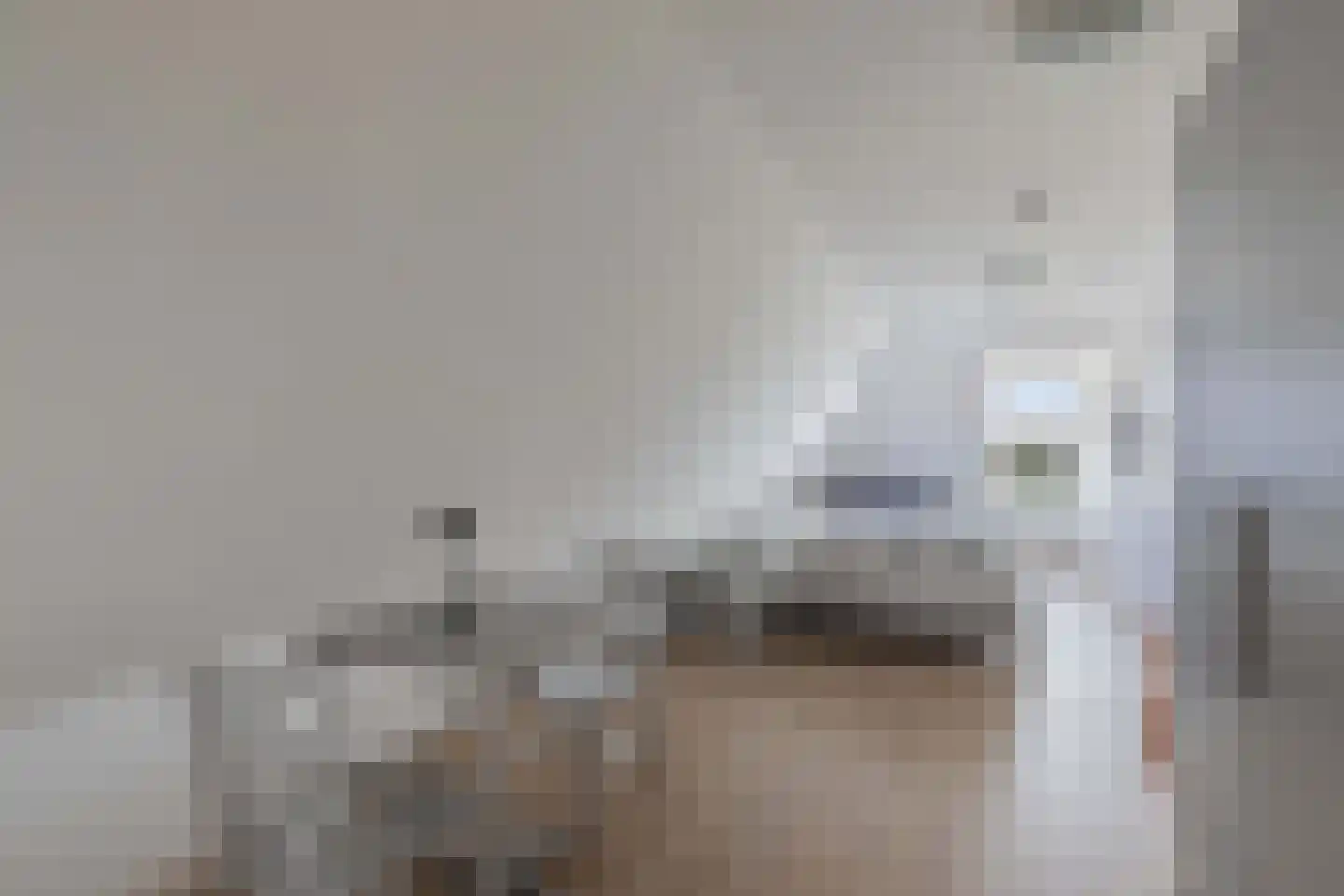 Kleine Buren 26 Pingjum thumbnail 40
