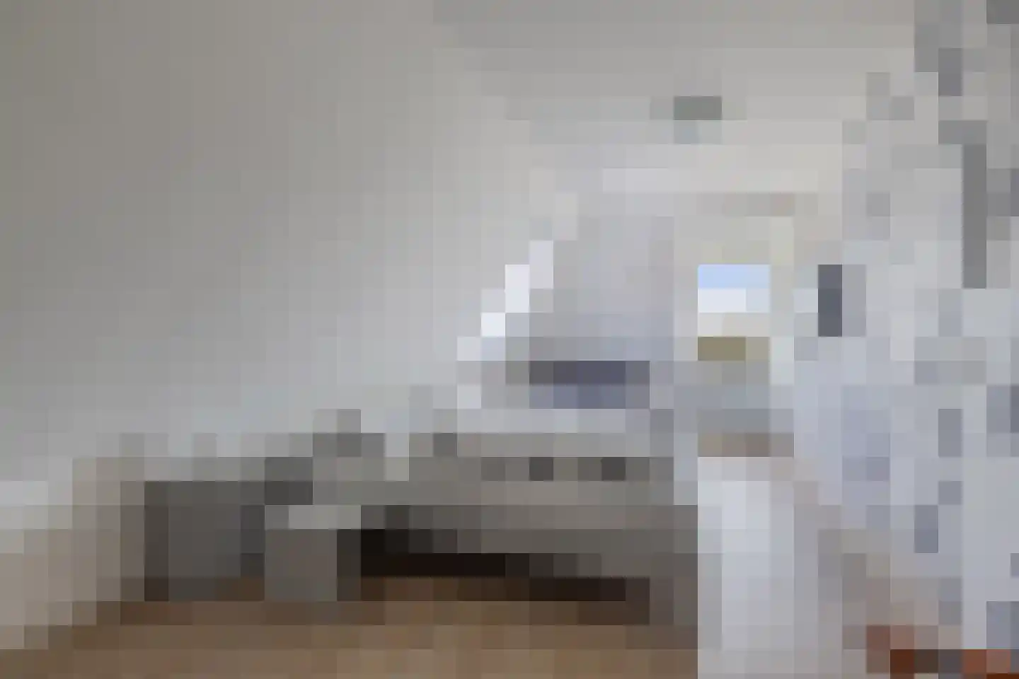 Kleine Buren 26 Pingjum thumbnail 41