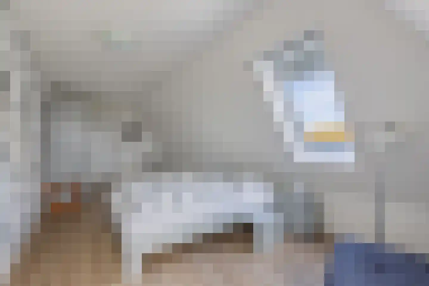 Kleine Buren 26 Pingjum thumbnail 42