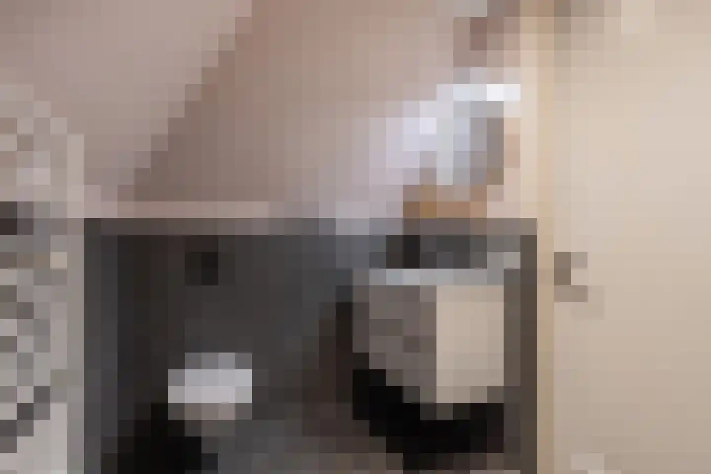 Kleine Buren 26 Pingjum thumbnail 43