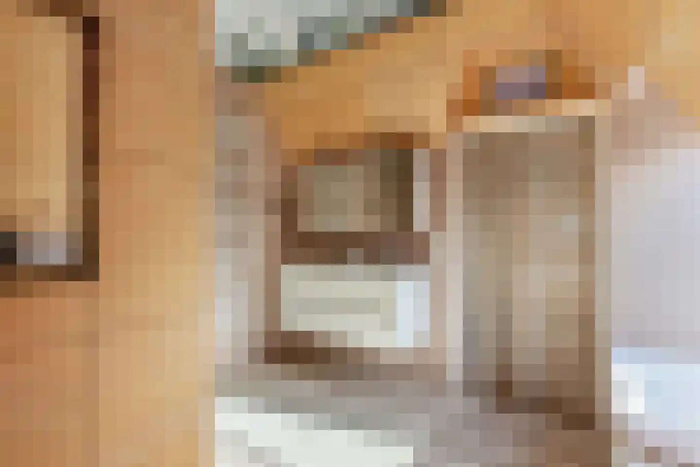 Kleine Buren 26 Pingjum thumbnail 48