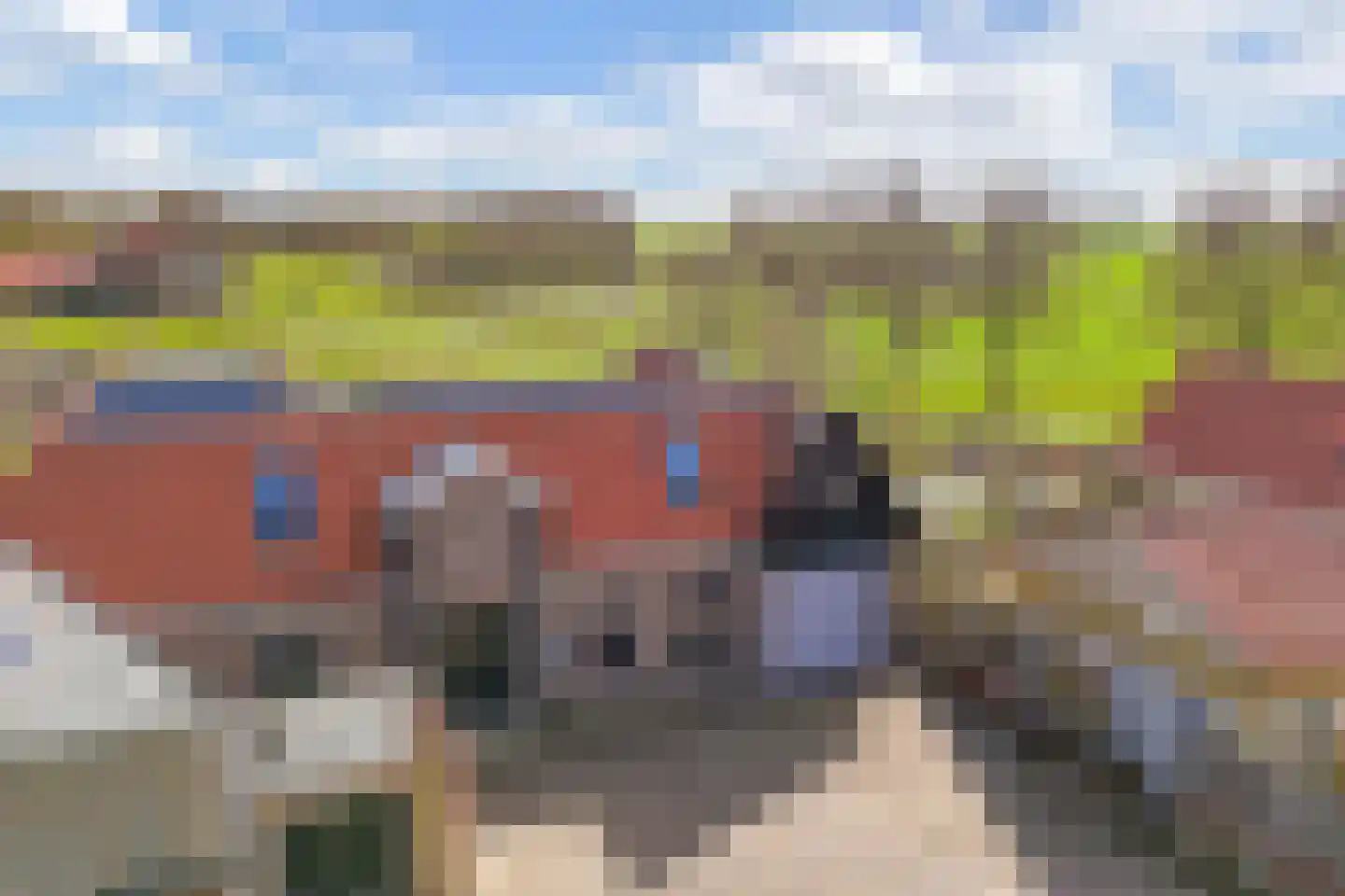 Kleine Buren 26 Pingjum thumbnail 5