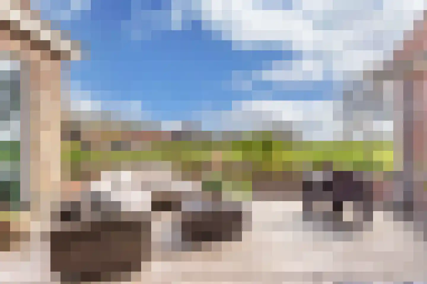 Kleine Buren 26 Pingjum thumbnail 54