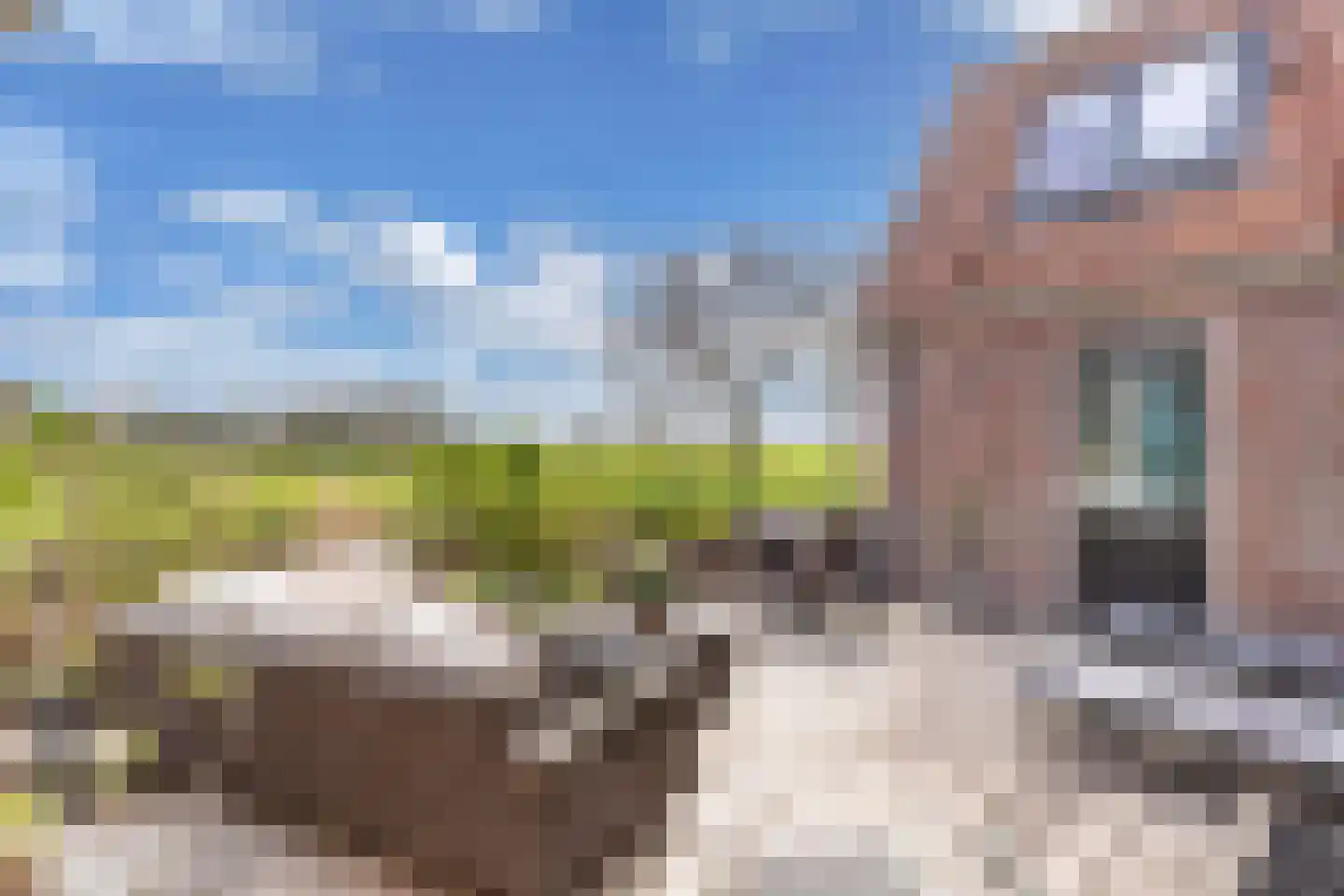 Kleine Buren 26 Pingjum thumbnail 55