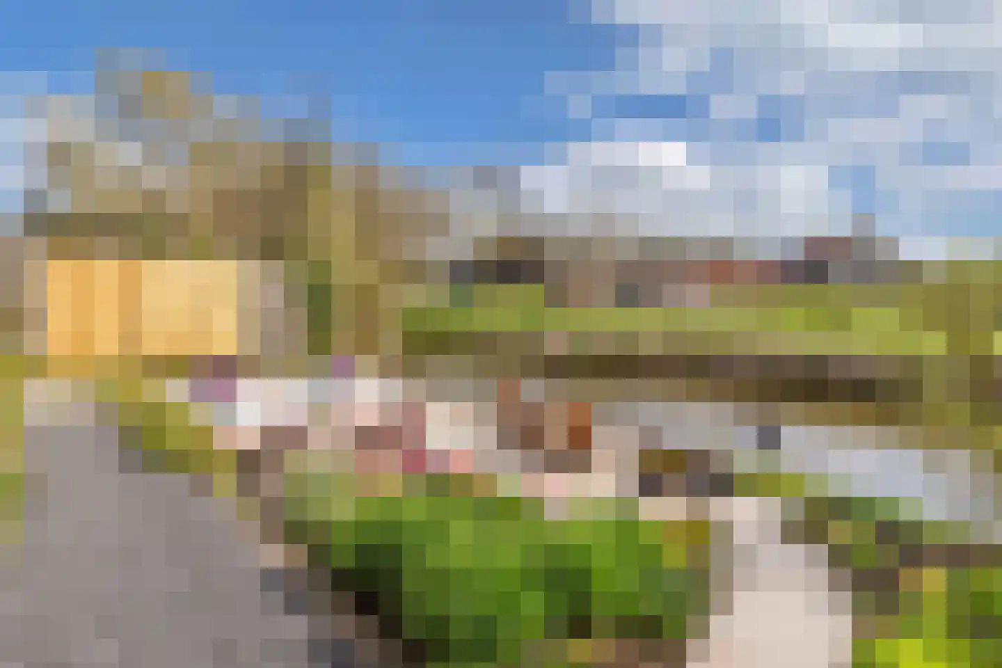 Kleine Buren 26 Pingjum thumbnail 58