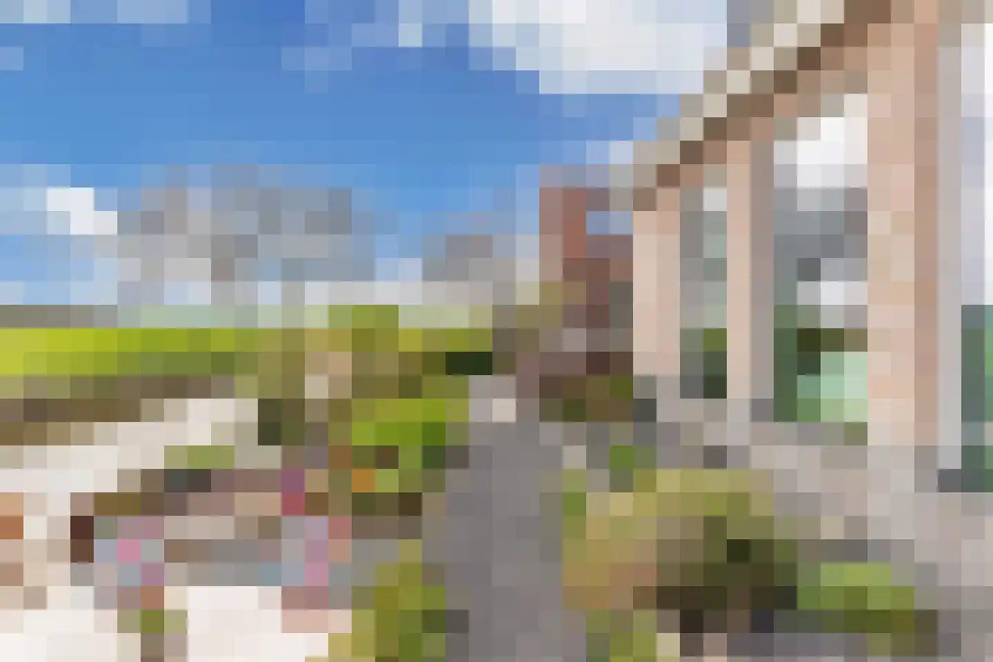 Kleine Buren 26 Pingjum thumbnail 60