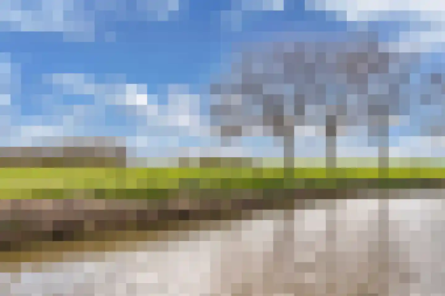 Kleine Buren 26 Pingjum thumbnail 61
