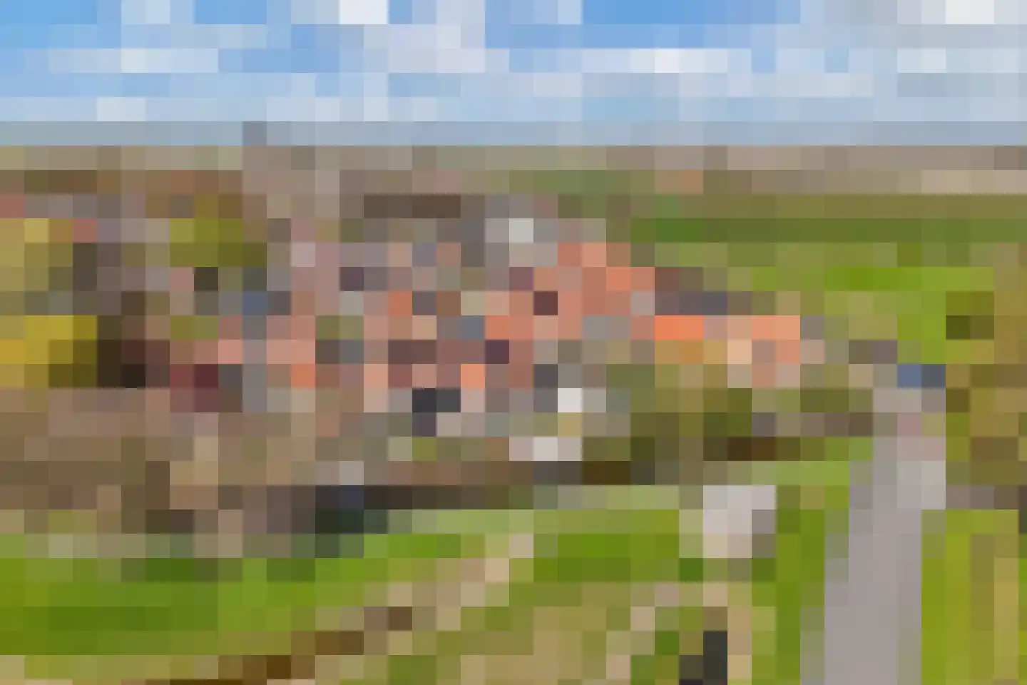 Kleine Buren 26 Pingjum thumbnail 66