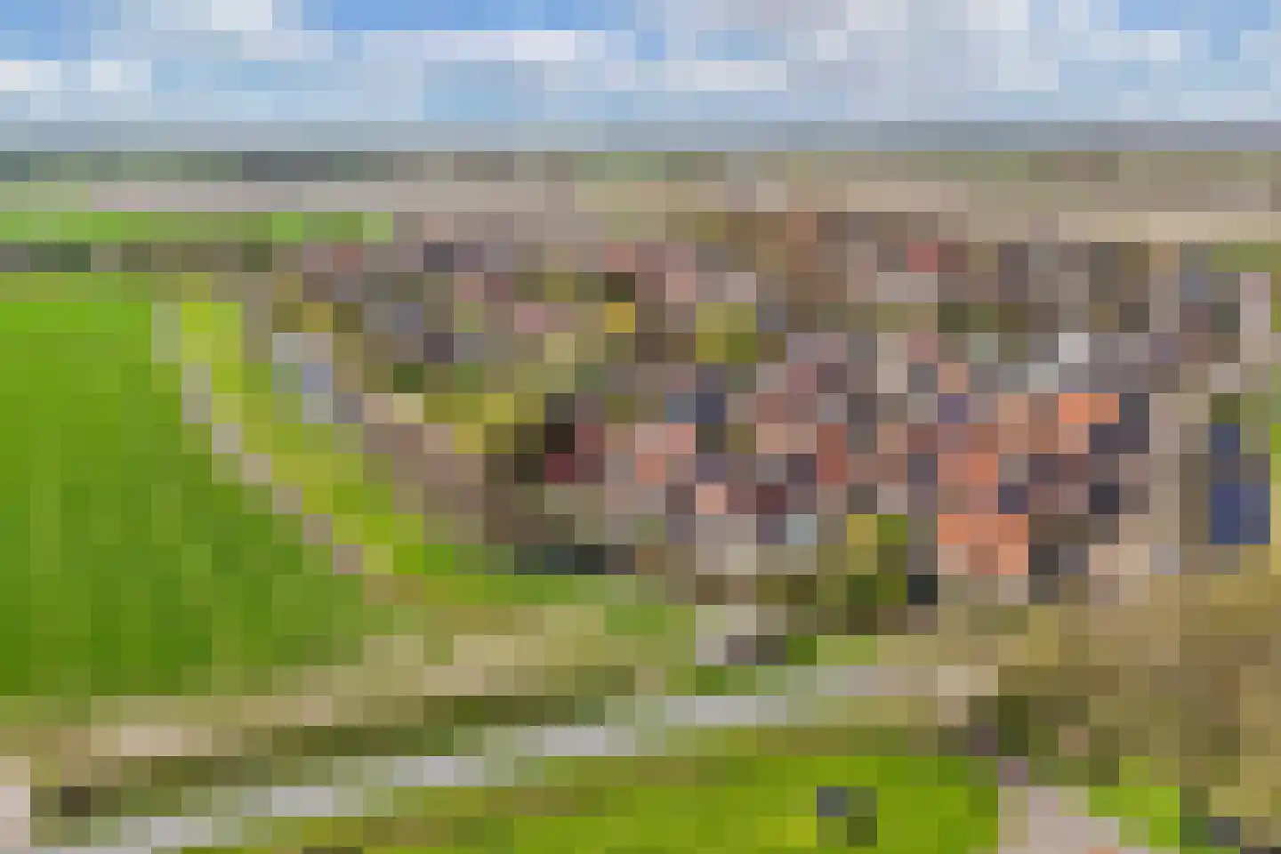 Kleine Buren 26 Pingjum thumbnail 67