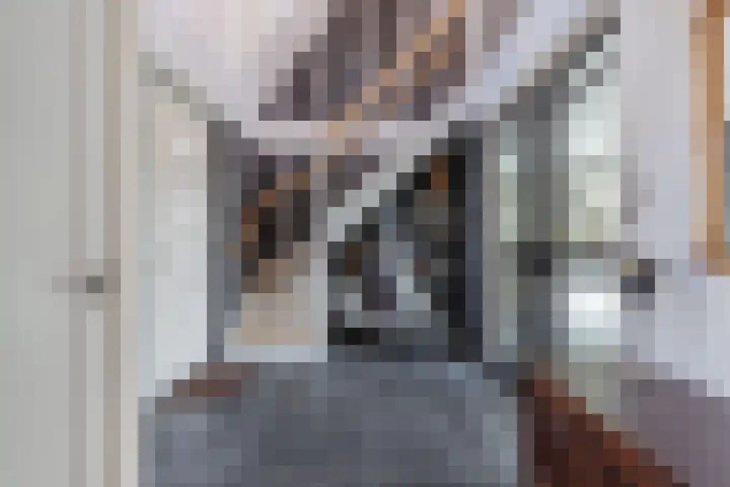 Kleine Buren 26 Pingjum thumbnail 9