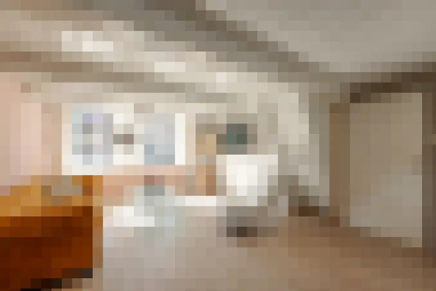 Kleine Buren 3 Pingjum thumbnail 10