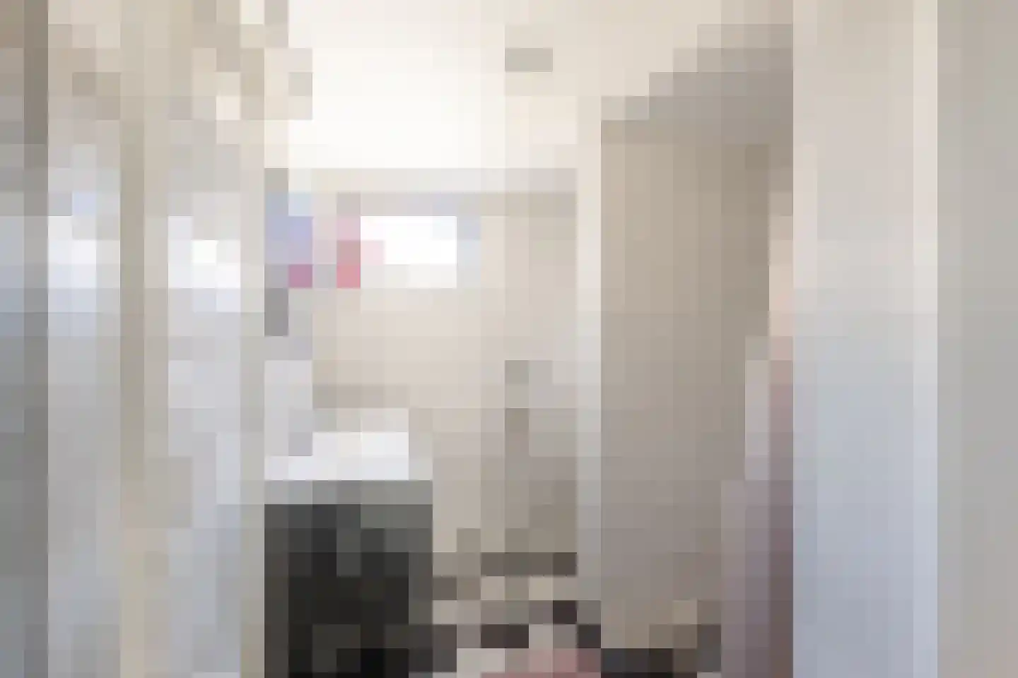Kleine Buren 3 Pingjum thumbnail 12